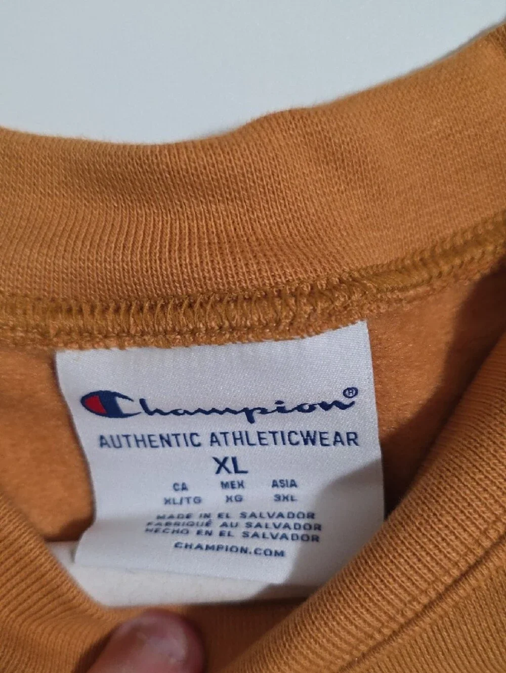 Champion Men's Crewneck Sweatshirt in Tan/Caramel